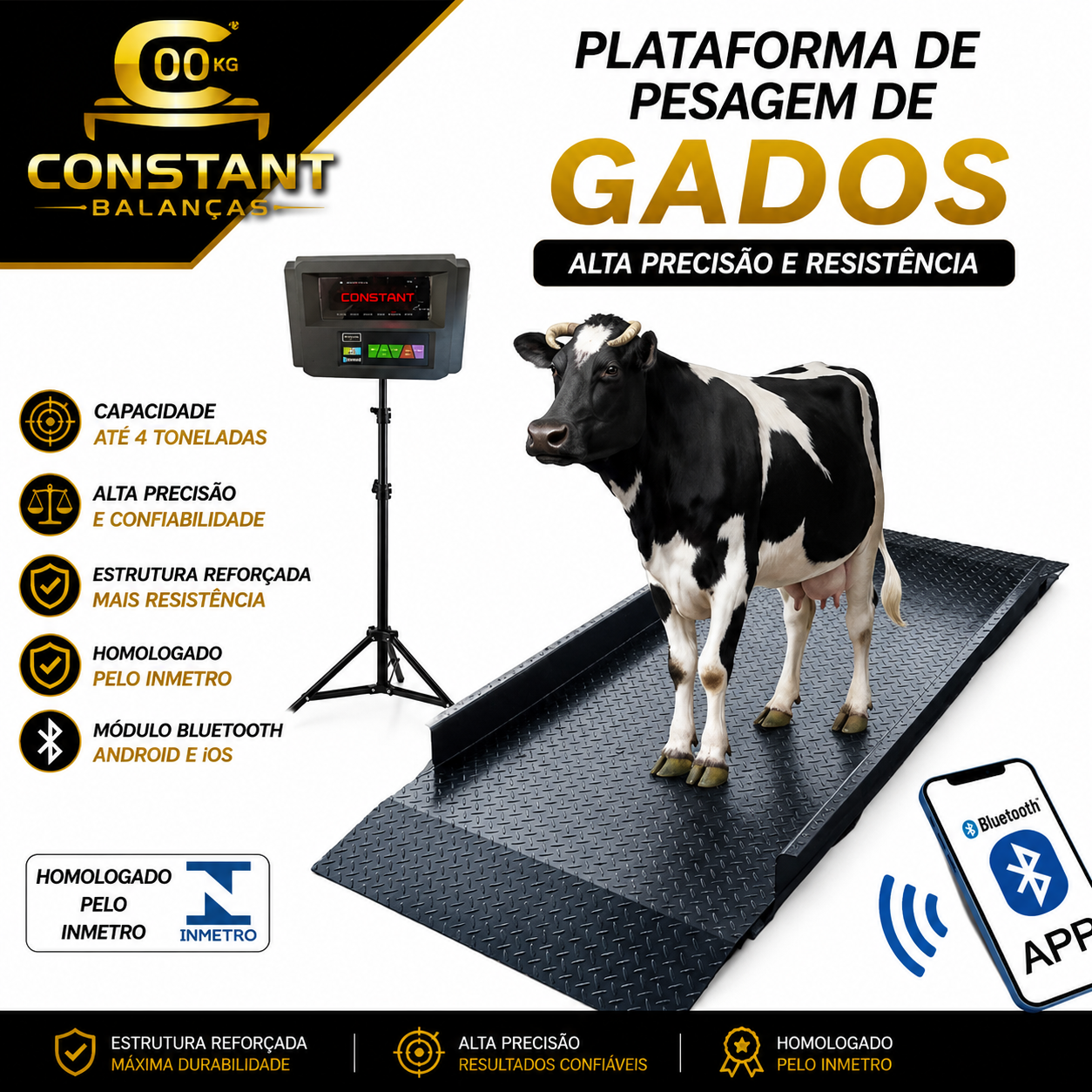 Plataforma para gado rampa Dupla e pedestal 4000kg
